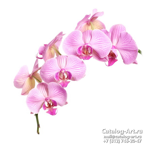 Натяжные потолки с фотопечатью - Розовые орхидеи 17
